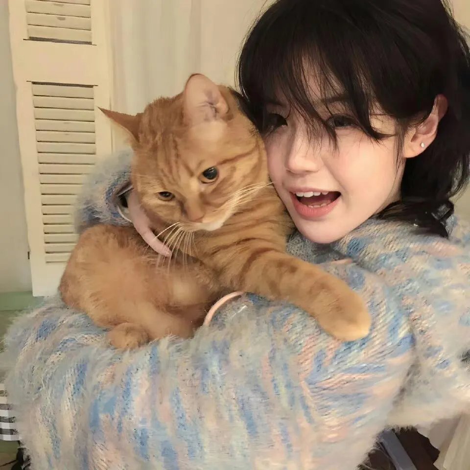 团宠六小姐太野,禁欲妄爷难把持